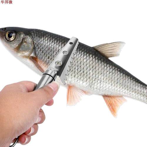 écailles de poisson dissvant poisson outil de nettoya