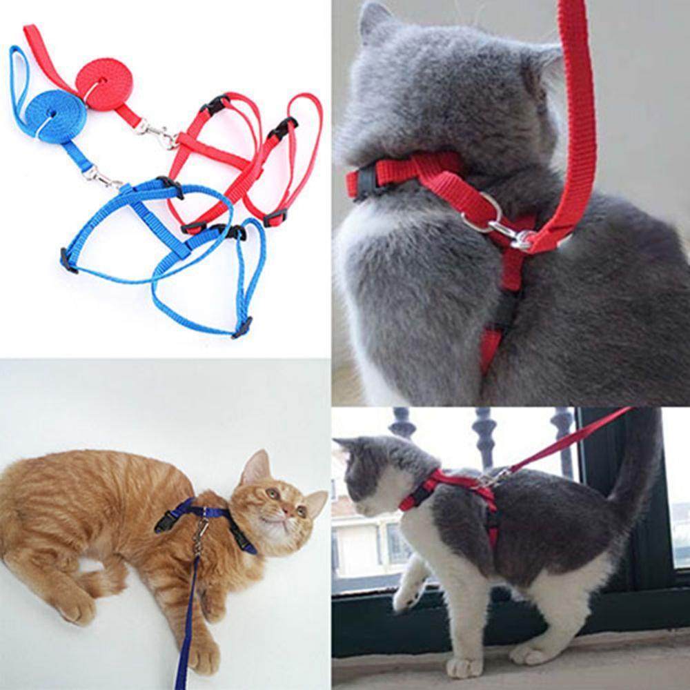 Adjustable Nylon Cat Puppy Pet Harness Collar Lead Leash Tra