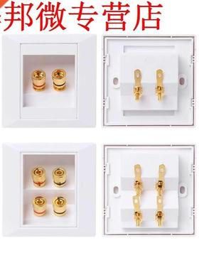 Wall Socket Audio Video Panel Speaker Junction Box Power Out