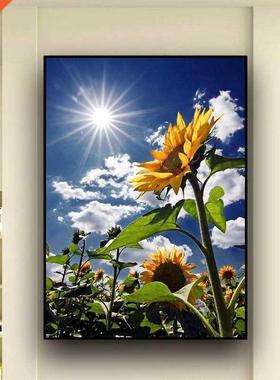 5D Dimond Pinting Kits Full Drill &mp;quot;Sunflower Sky&mp;