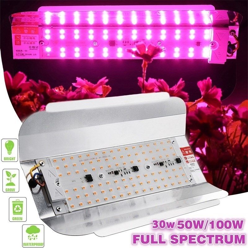 30W/50W/100W LED Grow Light Full Spectrum Plant Lights IP65
