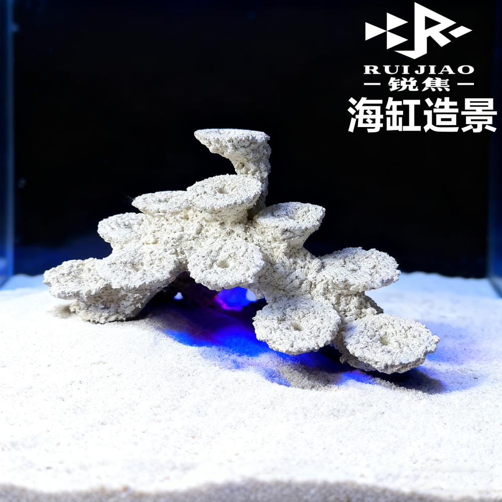 40窄海缸造景当贝珊瑚背滤小缸微缸人造石非爪哇基拉戈米家鱼缸