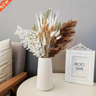 Bouquet Pampas Arrangement Natural Palm Flowers Dried Grass