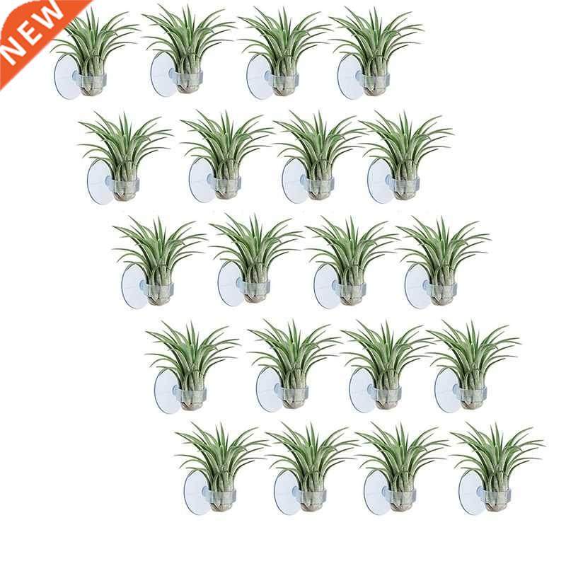 20 pcs air plant holder, plant pot tillandsia holder air pla