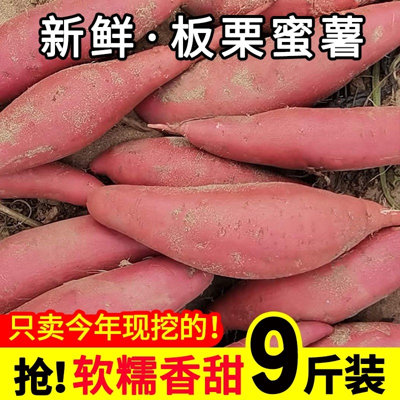 新鲜板栗红薯9斤沙地红蜜薯糖心板栗薯农家甜地瓜烟薯蔬菜番薯10