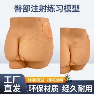 人体臀部注射训练模型屁股肌肉穿刺模块打针模具护士培训练习灌肠