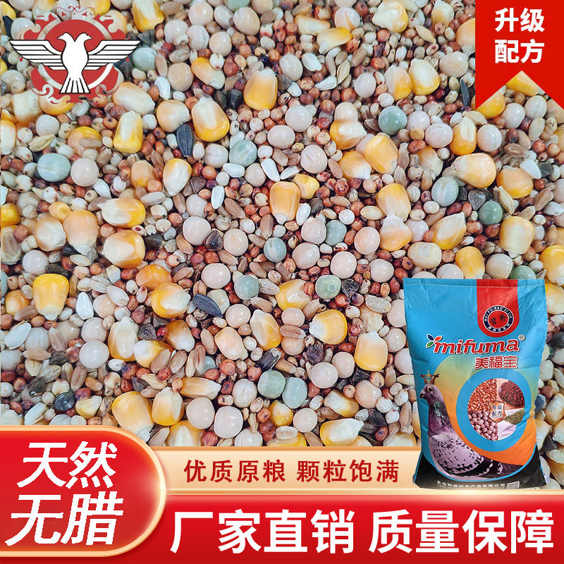 鸽粮50斤玉米赛飞品龙美福宝营养鸽粮赛鸽信鸽子粮食江浙沪皖包邮,宠物/宠物食品及用品,鸟食,淘宝优惠券,粉丝福利购,淘宝优惠卷