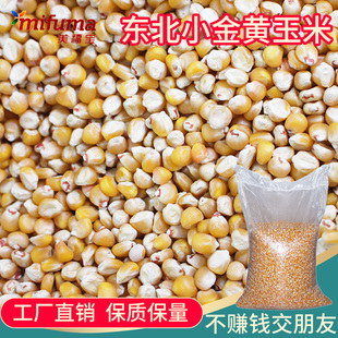 50斤优质东北小金黄玉米鸽粮新款精选五谷杂粮信鸽赛鸽鸽子粮食