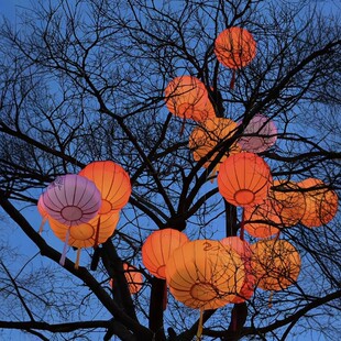 2026新款灯笼中国风新年景区树上发光灯笼春节庭院氛围发光树挂