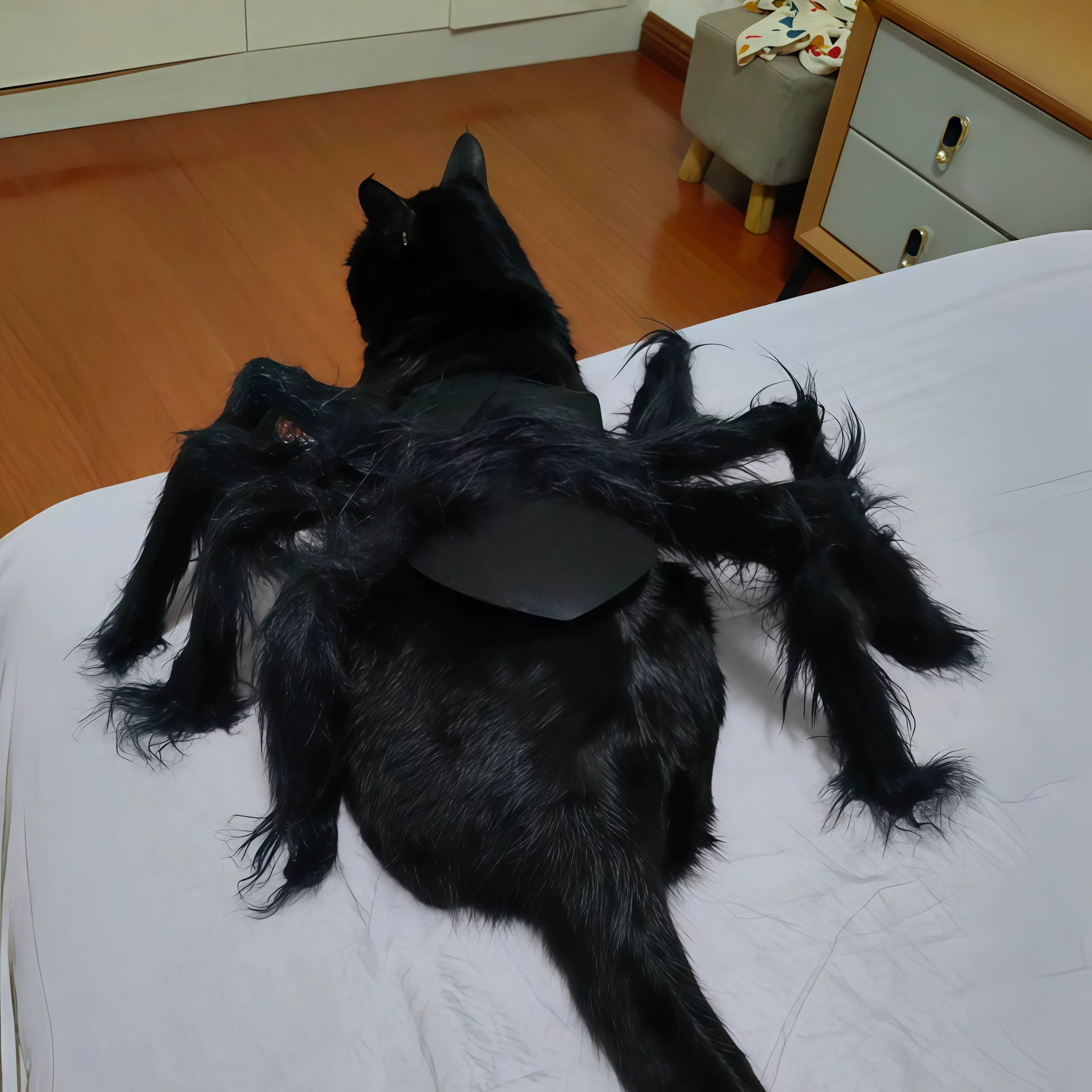 猫咪衣服万圣节节日COS服搞怪蜘蛛马甲拍照创意服饰猫狗通用装饰