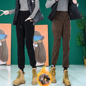 小个子束脚哈伦裤 卫裤 爆款 春秋休闲运动裤 加绒女冬裤 子女2025新款