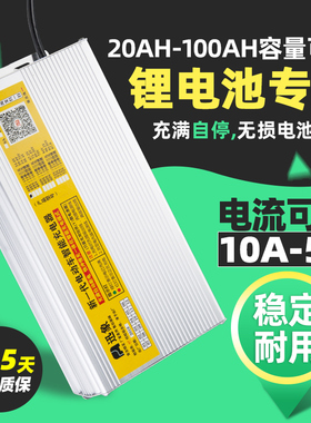 电动车锂电池充电器48V60V72V10A12A电流可调快充大功率三元铁锂