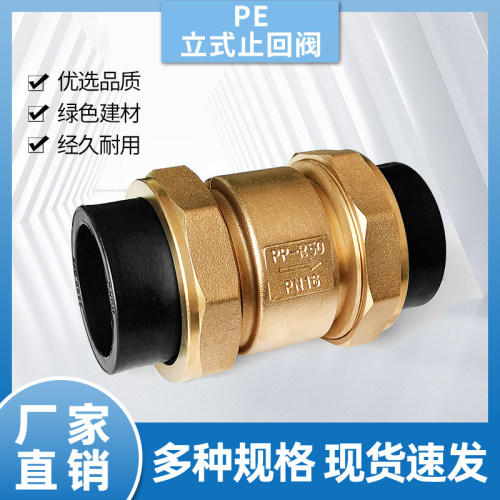 PE热熔单向阀热熔4分6分单向阀