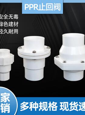 PPR全塑热熔止回阀单向阀门逆流阀水管开关4分6分1寸2寸翻板立式