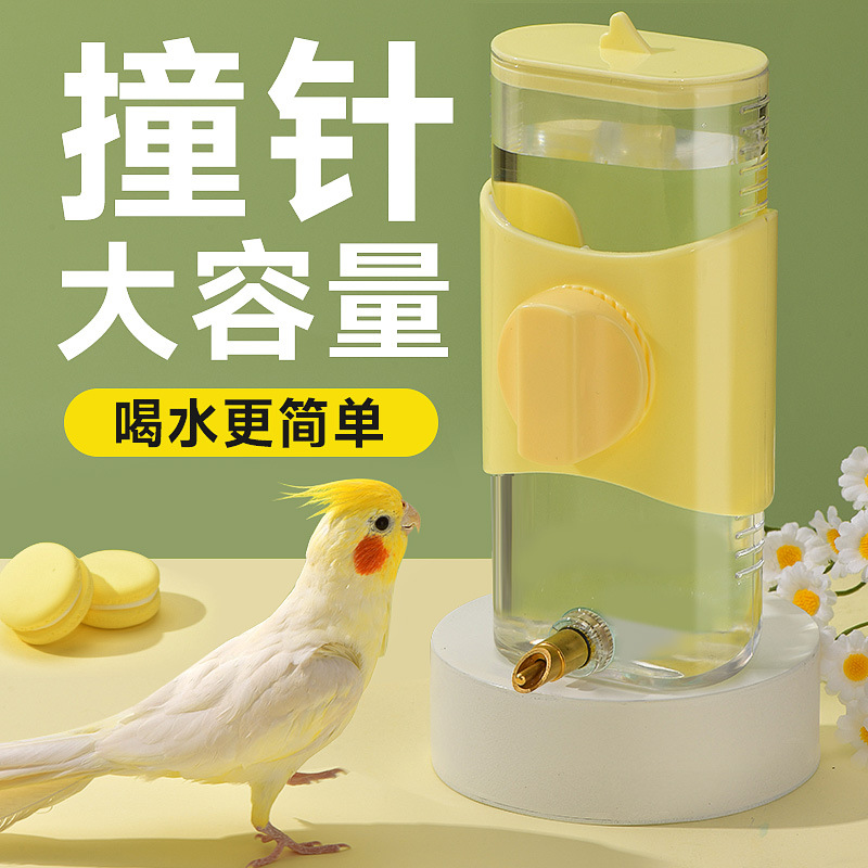 鸟用饮水器喝水鹦鹉喂水器撞针自动大号水壶玄凤龙猫喂鸟器用品具