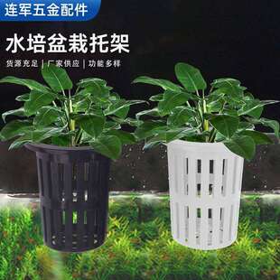 塑料水培定植篮无土栽培种植网篮壁挂式水草杯鱼缸造景装饰配件缸