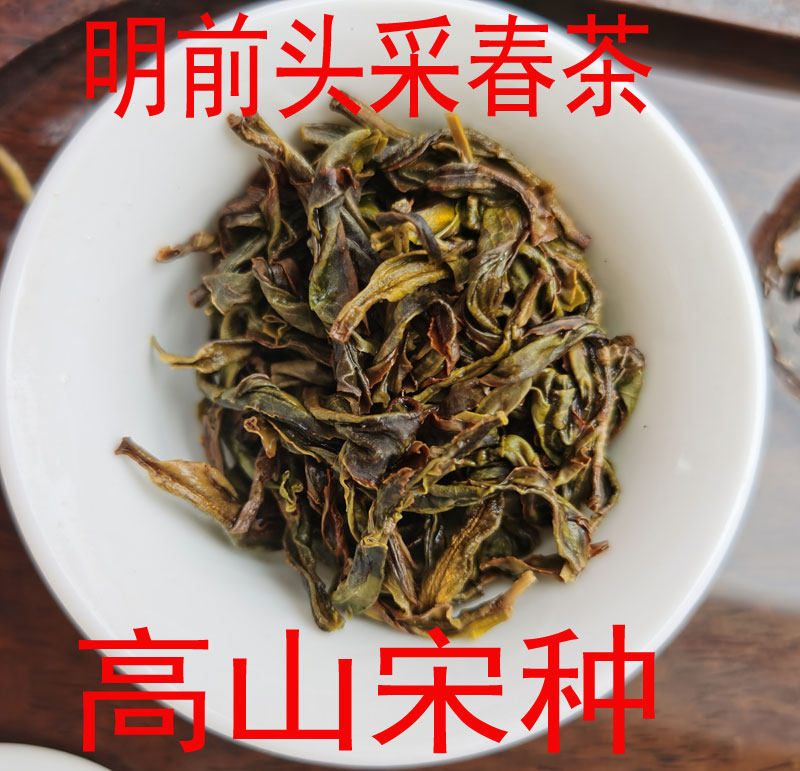 清明前头采凤凰单丛茶宋种单枞茶高山老枞乌岽鸭屎香春高山蜜兰香