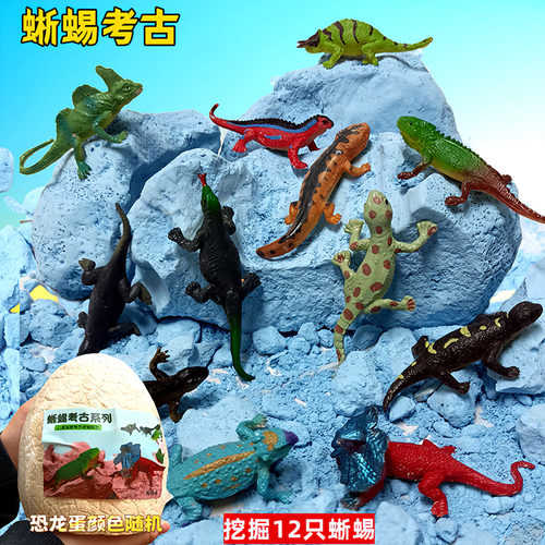 蜥蜴考古挖掘玩具恐龙化石
