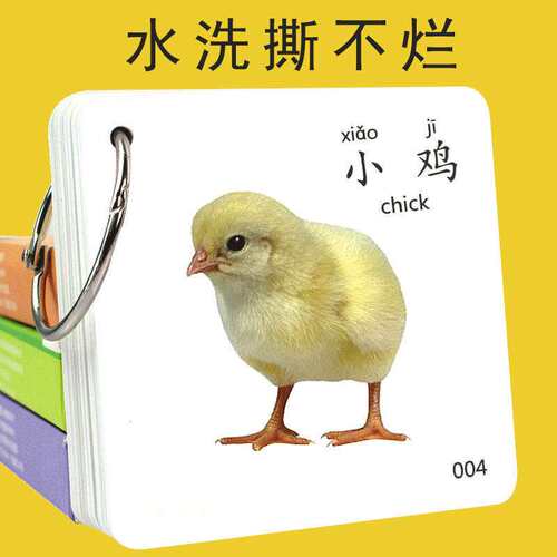 自闭症儿童训练卡片教材玩具早教孤独症图片康复训练开发认知教具