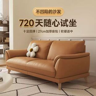 【稳固锰钢架】真皮沙发小户型现代轻奢双人客厅家用简约三人位直