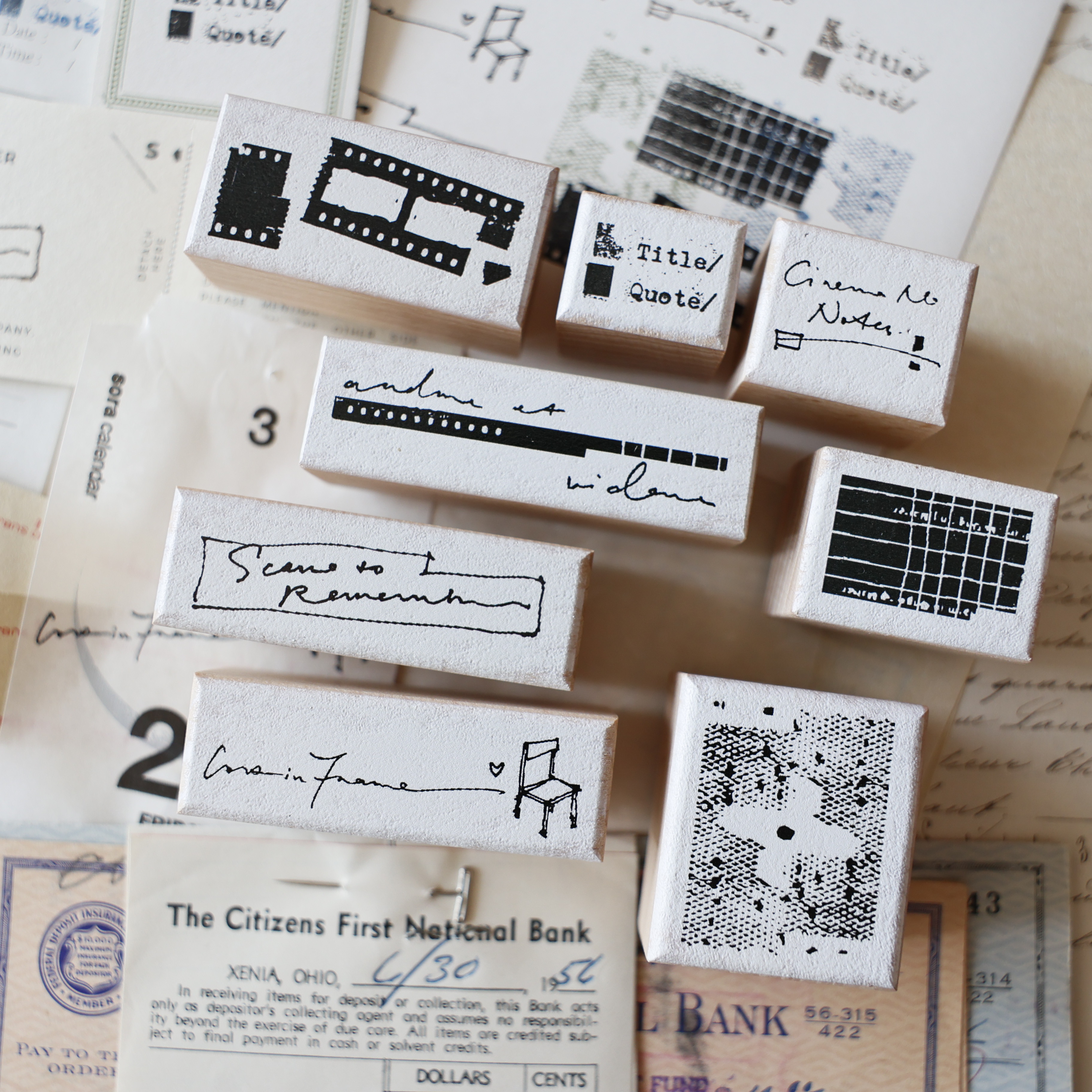 两只浣熊《难忘的镜头》旅行记录