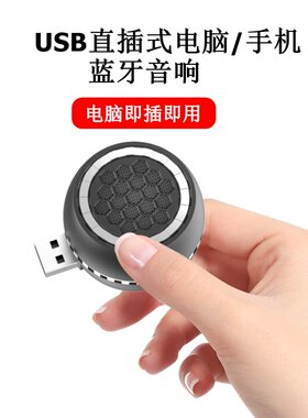 USB直插式笔记本电脑音响