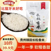 贵州梯田长粒香米集味福新米高山农家香米10斤装 大米不抛光猫牙米