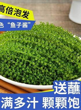 儿童海葡萄即食小孩吃的健康零食绿色鱼子酱新鲜盐渍爆珠海水葡萄