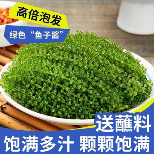 儿童海葡萄即食绿色鱼子酱