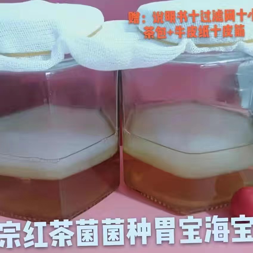 正宗红茶菌发酵菌种胃宝醋蛾子海宝食用菌/茶饮料酵素/康普茶种苗