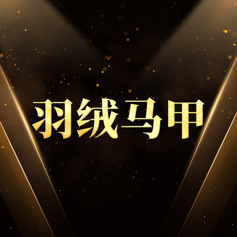 【大潘专享】羽绒马甲23710