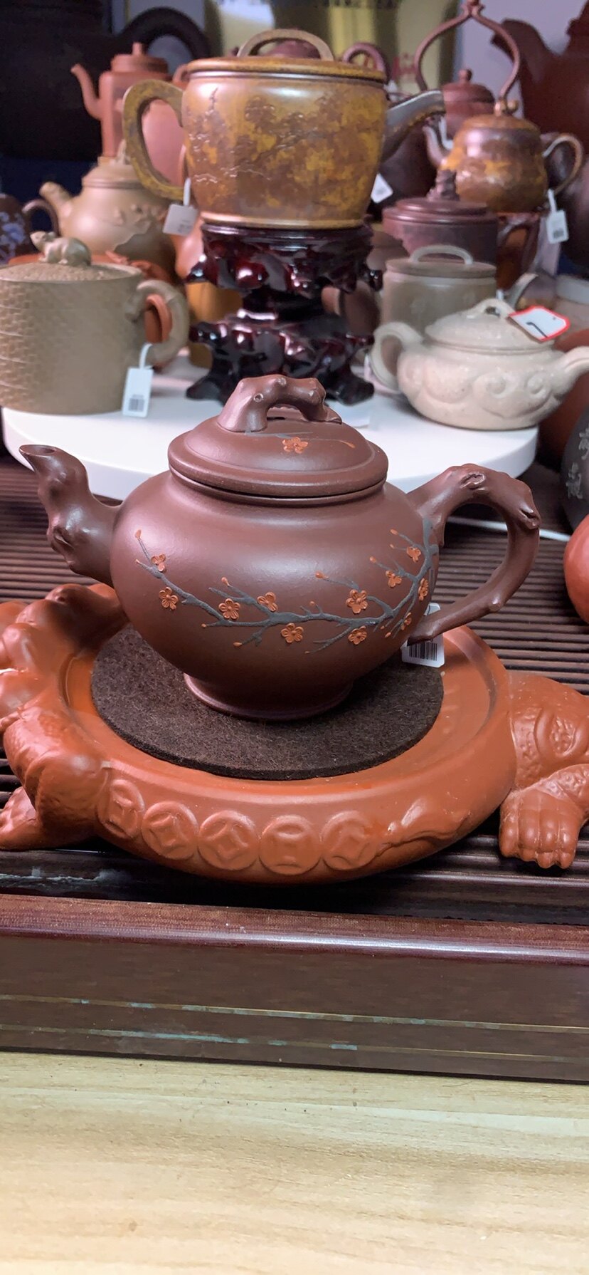 老紫泥梅报春350cc