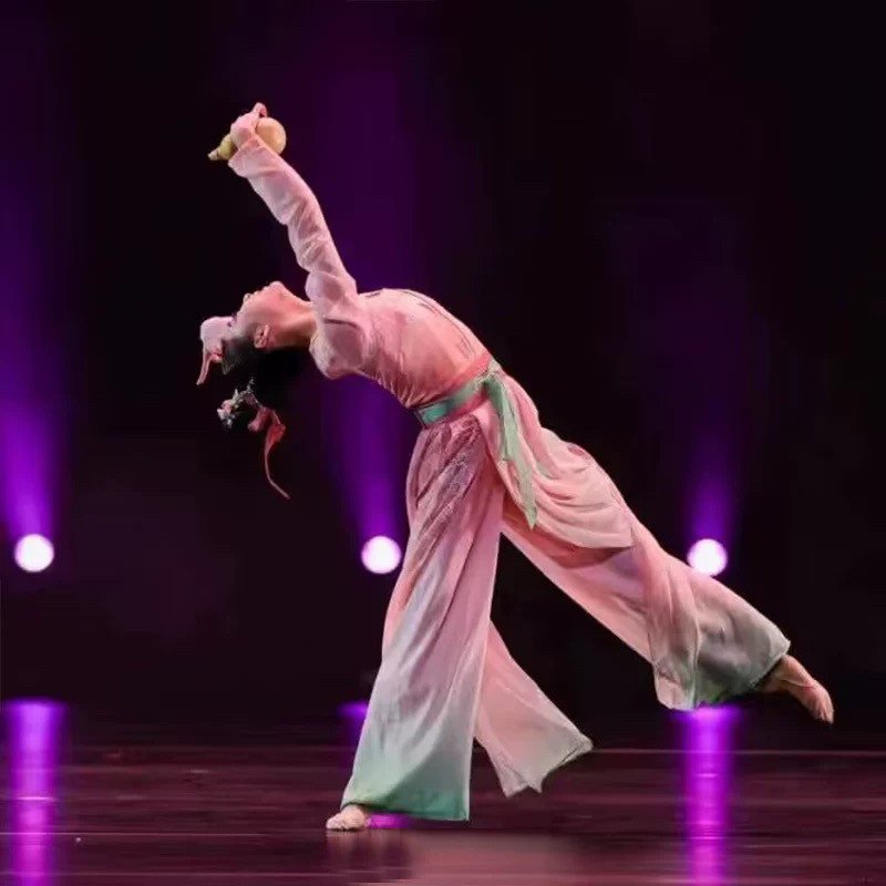 古典舞演出服中国舞醉花溪同款舞蹈服飘逸练习练功艺考表演桃李杯