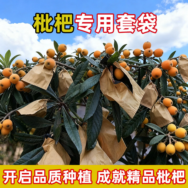 枇杷专用水果套袋