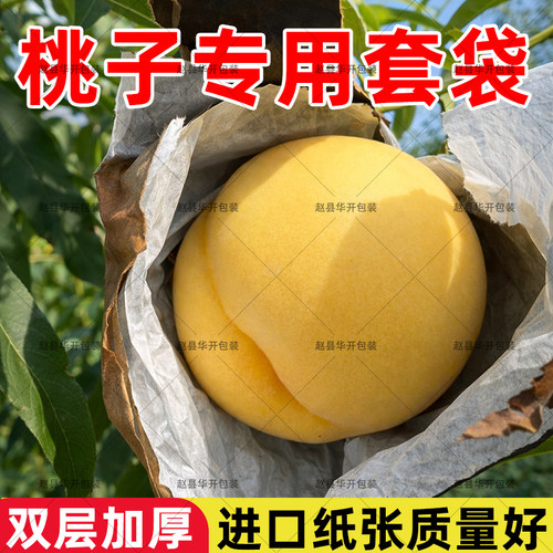 桃子专用套袋水蜜油桃蟠桃黄桃双层防水防晒防鸟虫水果保护袋桃袋