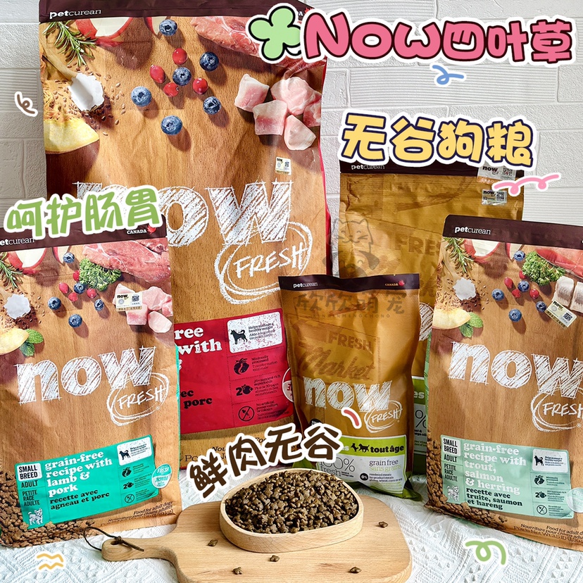 NOW全犬期小型狗粮三文鱼鸭肉