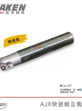 台湾AKEN亚肯快进给铣刀杆 AJX12-35-200-C32-2T 粗切削铣刀杆