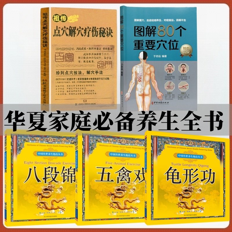 祖传点穴解穴疗伤秘诀抖音同款辨神回春龟形功易筋经乐品学珍列点穴技法解穴手法书籍图解80个重要穴位八段锦古书功夫武林书籍