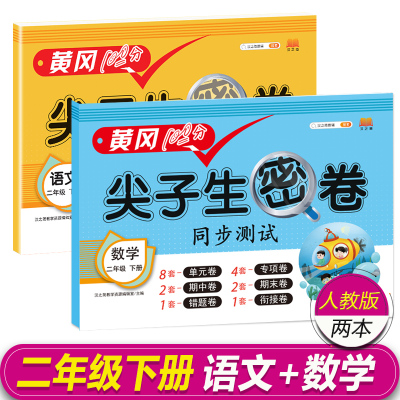 二年级下册同步训练试卷人教版尖子生密卷教材黄冈课堂笔记小学二年级下册试卷测试卷学习资料语文数学全套二年级下册同步练习册