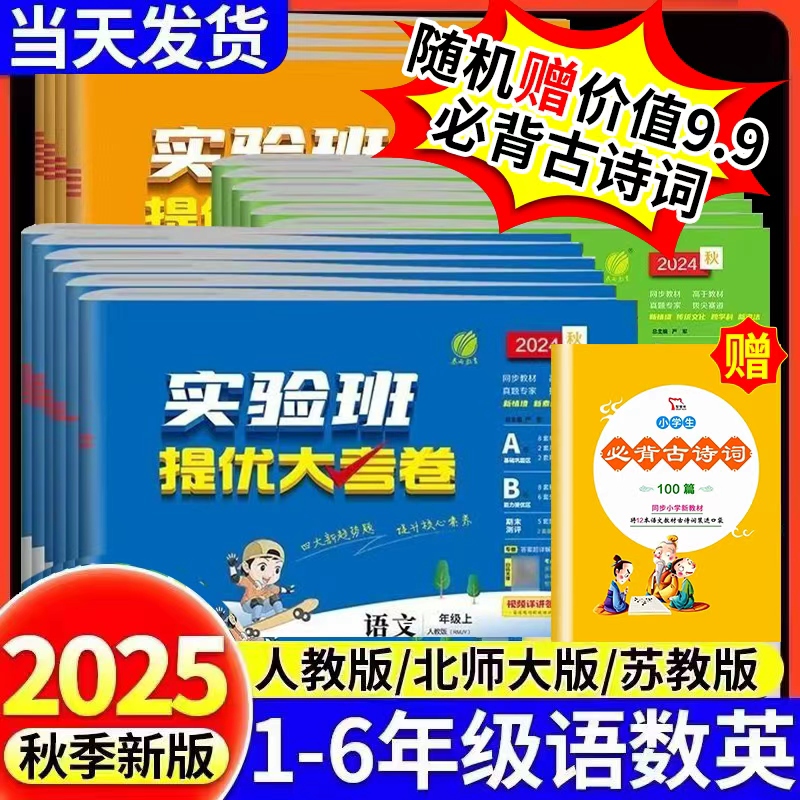 实验班提优大考卷小学学霸全优上
