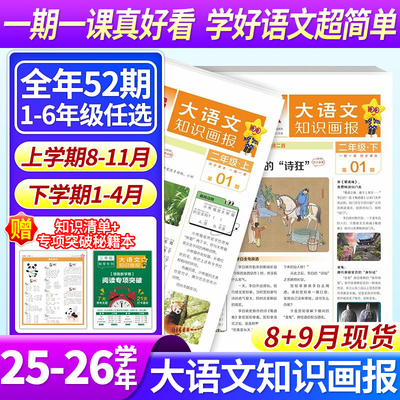 小学大语文知识画报少年报纸杂志