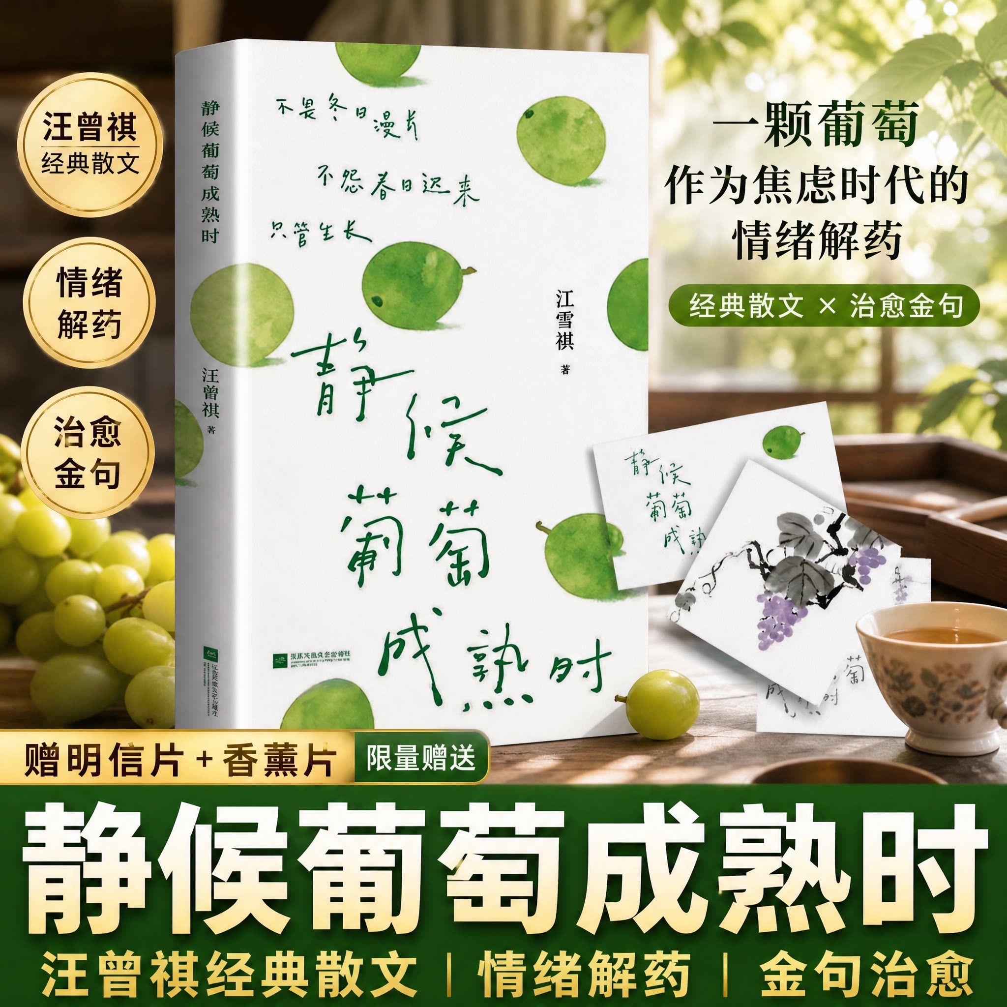 【正版现货】静候葡萄成熟时 汪曾祺经典散文作品集人间烟火治 愈心灵文学随笔青少年课外阅读书籍名家经典散文集畅销书排行榜前茅 - 实物图
