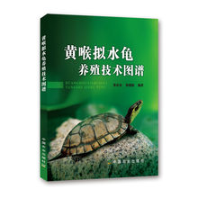 正版包邮 黄喉拟水龟养殖技术图谱 养龟模式多样性 龟卵人工孵化 龟养殖教程书籍 养龟专业户阅读参考书籍 养龟技术 龟养殖技术