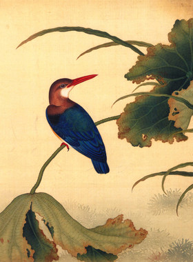 清宫鸟谱仿古画真迹复制品花鸟画