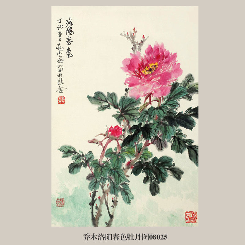 画说乔木洛阳春色牡丹图花鸟画国画卷轴挂画字画复制仿古画装饰画