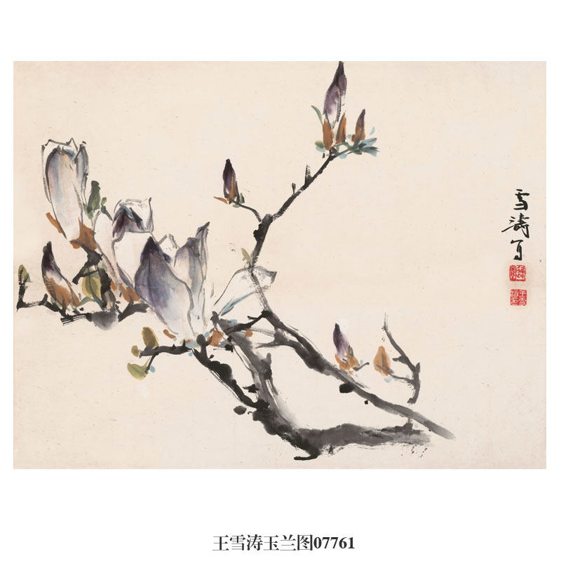 画说王雪涛玉兰图水墨吉祥花鸟画国画挂画名画复制品仿古画装饰画