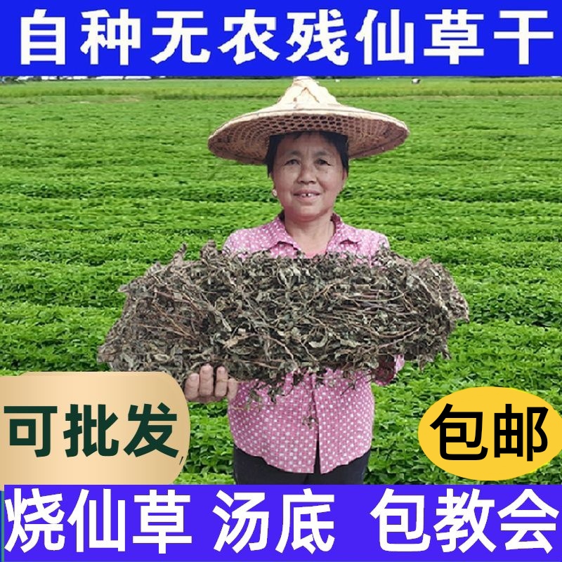 仙草干仙草冻黑凉粉草粿草正宗仙人粄草龟苓膏烧仙草 新鲜草干 咖啡/麦片/冲饮 天然粉粉食品 原图主图