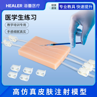 穿刺注射模型