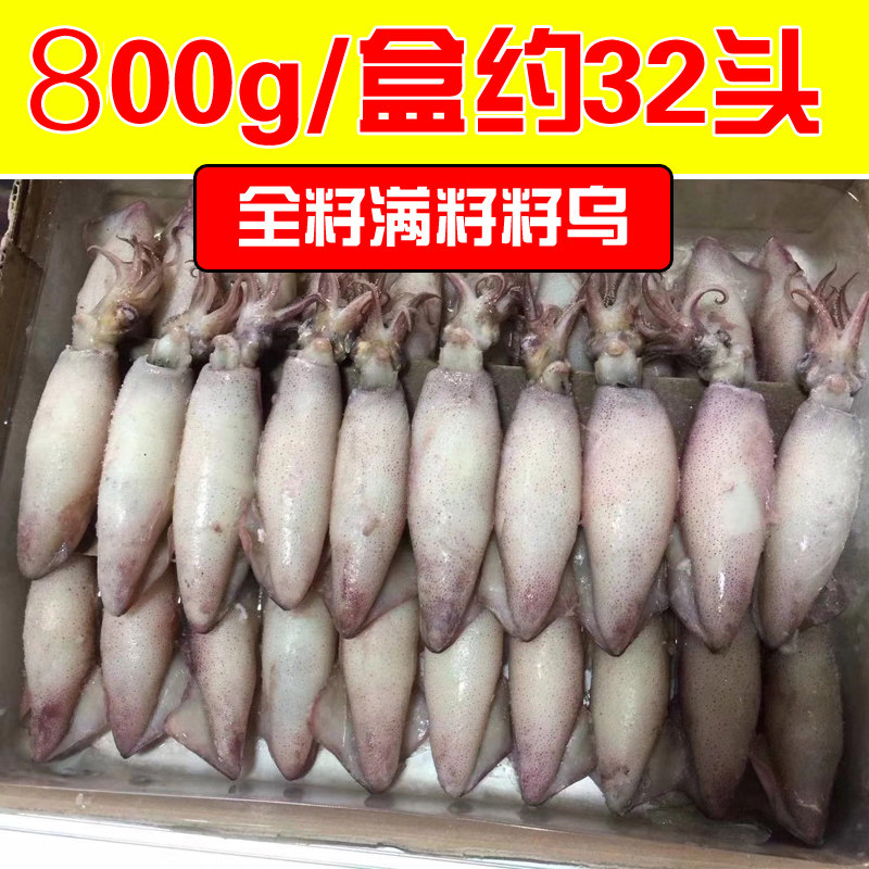 海兔子满籽笔管鱼全籽籽乌墨鱼仔带籽冰海鲜鲜冻水产800g约30头,水产肉类/新鲜蔬果/熟食,冷冻墨鱼/冷冻墨鱼仔,淘宝优惠券,粉丝福利购,淘宝优惠卷