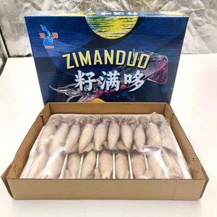 籽乌笔管鱼熟冻800g满子涮锅酱焖全籽籽乌28头海鲜